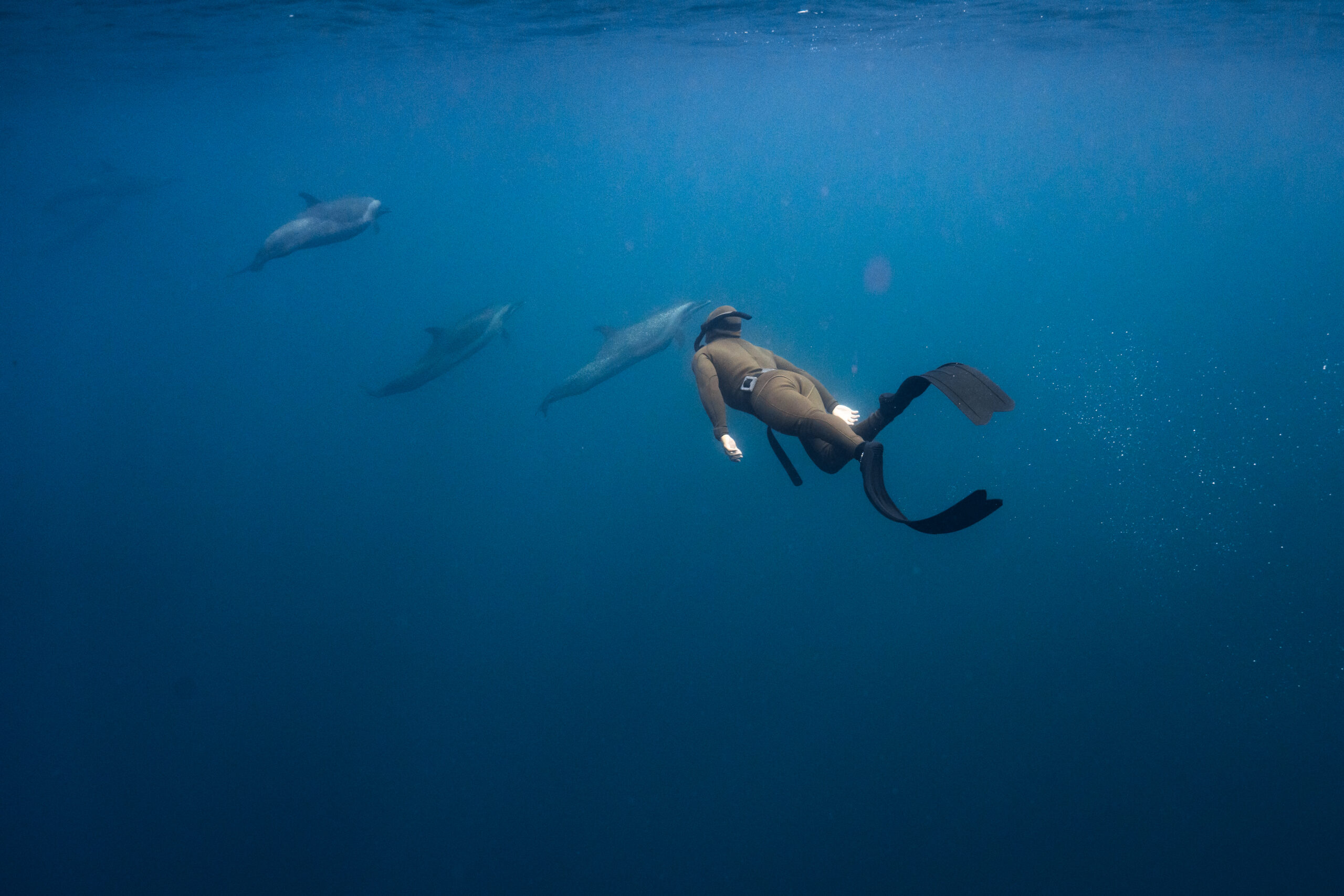La Ventana Dive Center (1)